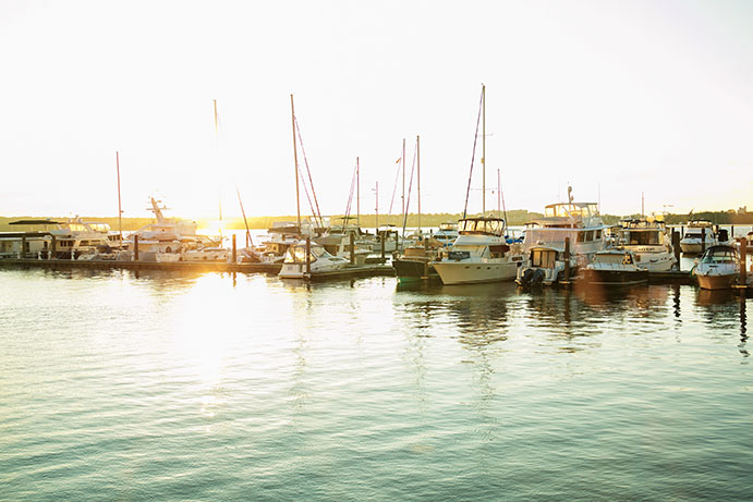 Boats in a large dock