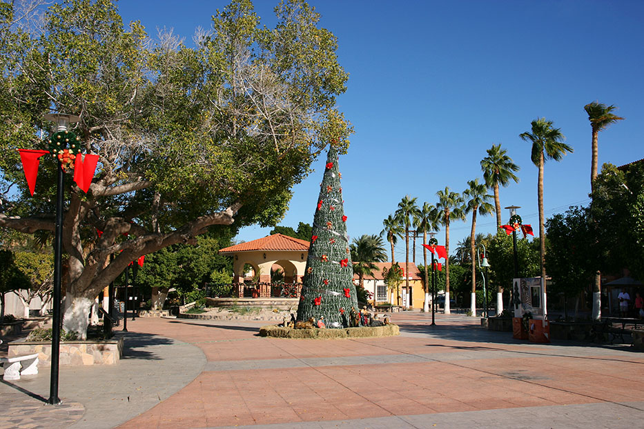 Outdoor Christmas tree in a holiday plaza