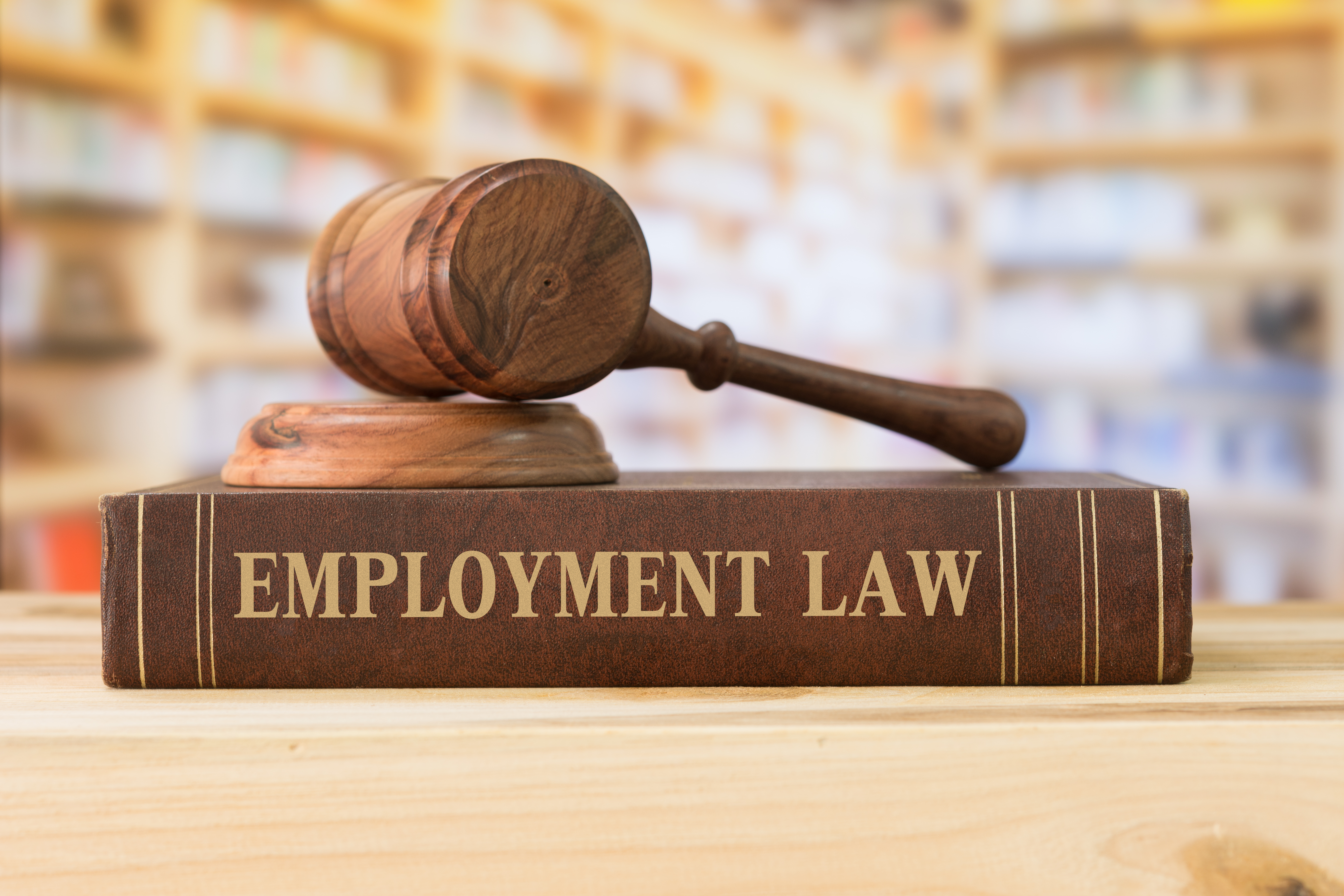 Gavel on  top of book titled Employment law